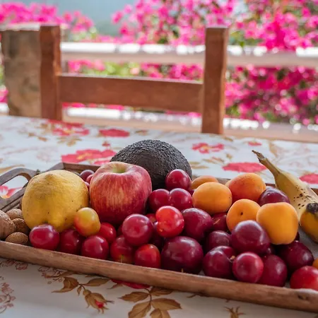 Picturesque Flat With Sea View Appartement Geremèas